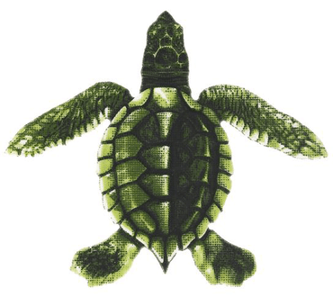 Mosaic Baby Turtle C Porcelain Mosaic