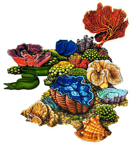 Mosaic Coral Reef -E- Porcelain Mosaic