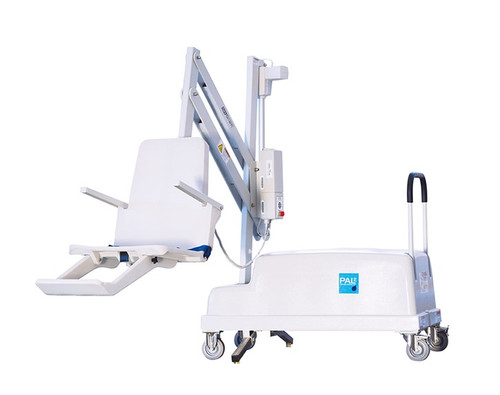 Gray Mist 300 Lb Capacity PAL2 Portable Pool Lift