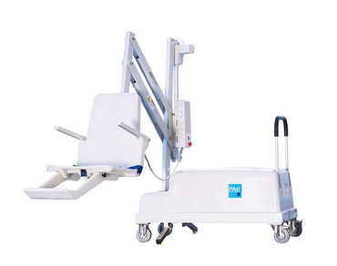 Gray Mist 300 Lb Capacity PAL2 Portable Pool Lift
