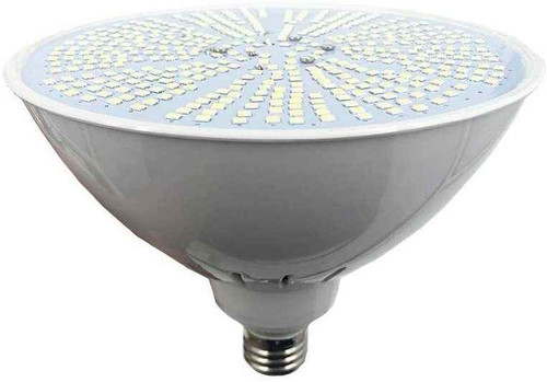 DG Pool Products Pentair Amerlite 12V White Led Upgrade Kit 500 W Equivalent