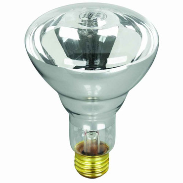 Feit Electric Feit Electric 100BR30/FL-12 100-Watt R30 12-Volt Pool/Spa Flood Reflector