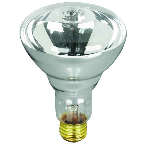 Feit Electric Feit Electric 100R20/S-12 100 Watt 12 Volt Pool/Spa Short Flood Reflector