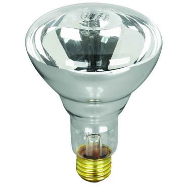Feit Electric Feit Electric 100R20/S-12 100 Watt 12 Volt Pool/Spa Short Flood Reflector