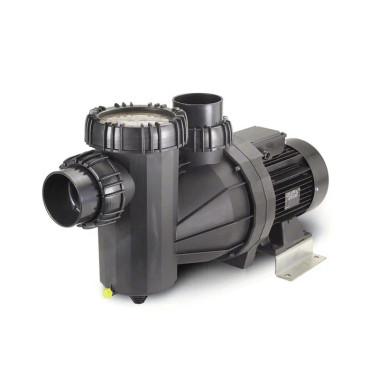 95-VIII High Performance Commercial Pool Pump 4HP 208-230V
