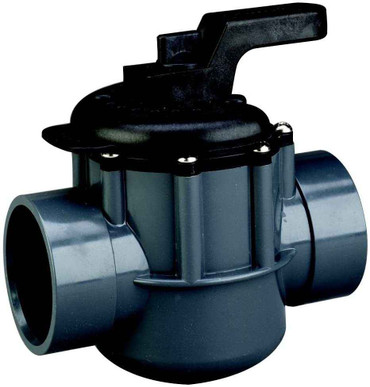 Pentair Pentair 263029 2-Inch 2-Way Diverter Valve