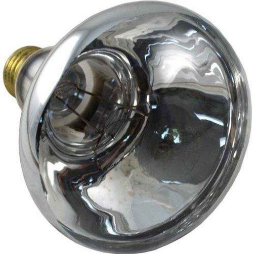 Pentair Pentair 79101800 Replacement Bulb American 100W 12V