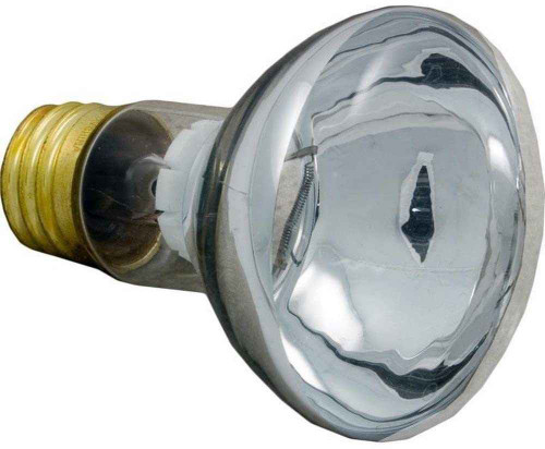 Pentair Pentair 79108100 100W 12V Replacement Pool and Spa Light Bulb