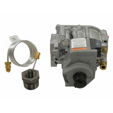  Raypak 003900F Ng Iid Gas Valve