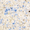 Diamond Brite , Cool Quartz