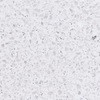 DURAZZO ARTIC WHITE sample